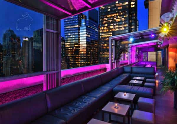 תגרה במועדון היוקרתי: סצנת הלילה בניו יורק סוערת בעקבות תקרית אלימה בין שחקנית וצוות האבטחה