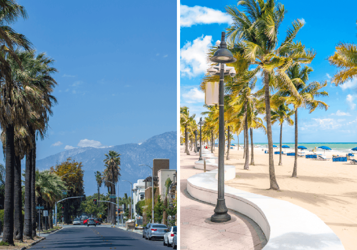 אלו הן הערים המסוכנות ביותר בארצות הברית 