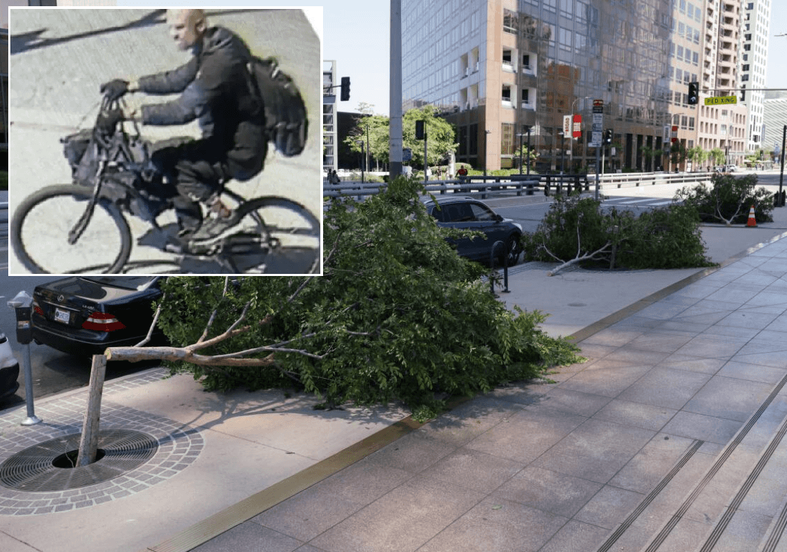 הפושע נתפס: זה החשוד בכריתת עשרות עצים ברחבי מרכז העיר לוס אנג'לס