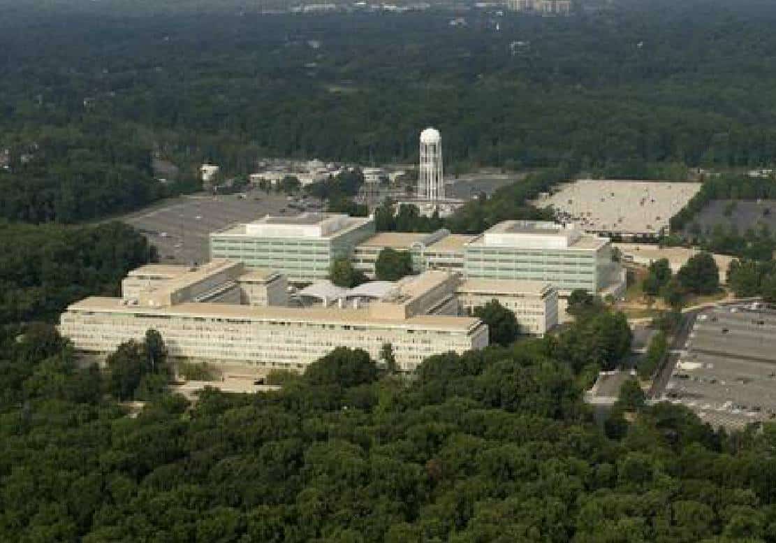 מחפשים עבודה? ה-CIA מגייס בעלי רקע רוסי ה"נגעלים" ממלחמתו של פוטין - "אנחנו פתוחים לעסקים"