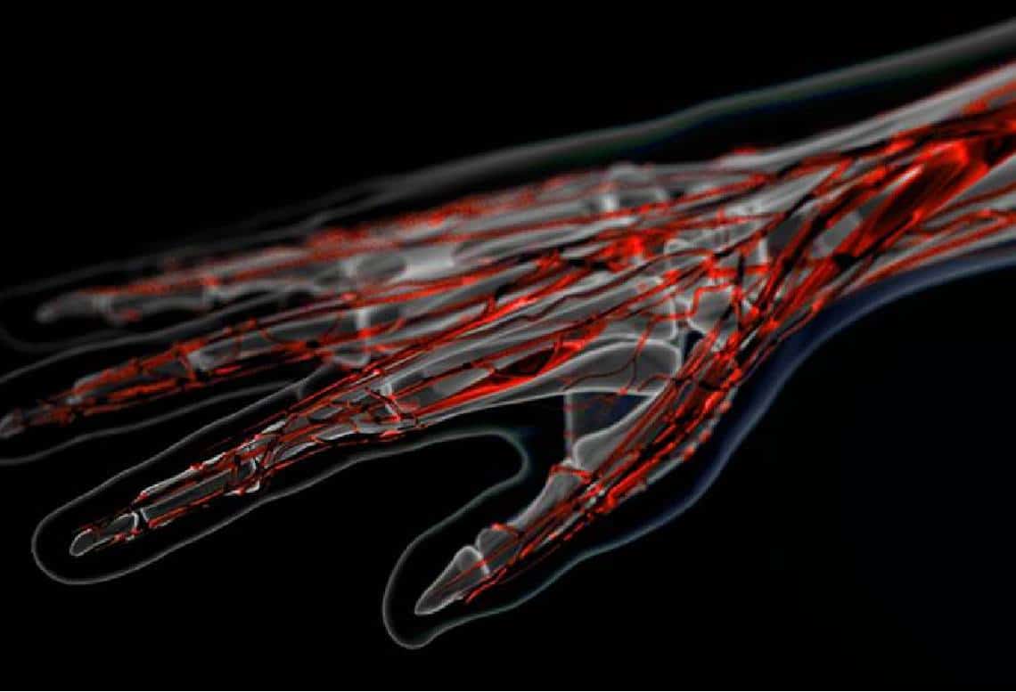 "סריקת וורידים ביומטרית תעניק גישה לחנויות, משרדים, בתי חולים, אצטדיונים"