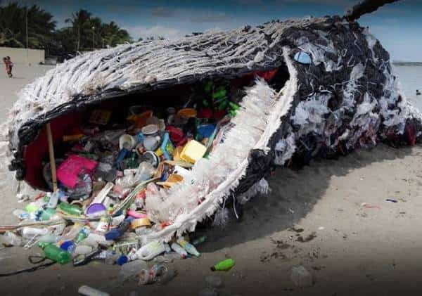 המלחמה בפלסטיק: ניו ג'רזי והוואי יציעו את האיסורים הנוקשים בארה"ב