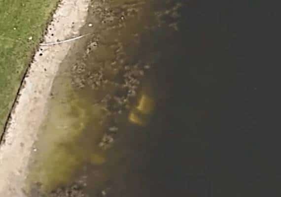 בזכות צילום לווין של גוגל: תושב פלורידה זיהה מכונית של נעדר משנת 1997