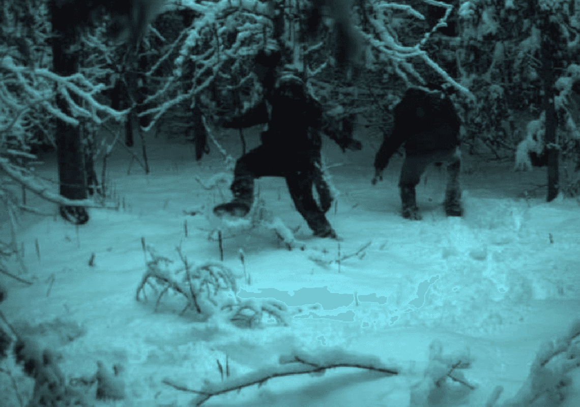 לא רק בדרום: הגבול הצפוני של ארה"ב ראה זינוק של 750% בכמות המסתננים