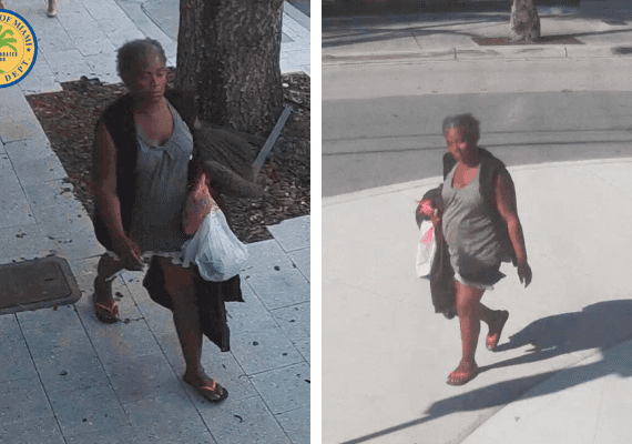 בזכות מצלמות האבטחה: נעצרה חשודה בחטיפת ילד בן 6 מגלריה במיאמי