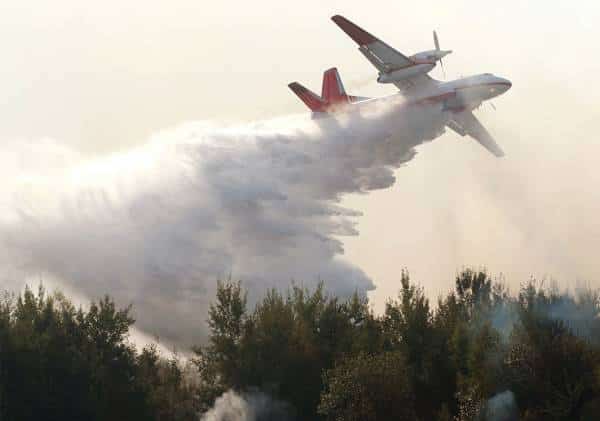 טראמפ הציע לכבות את שריפת נוטרדאם באופן לא מציאותי ועורר עליו ביקורת