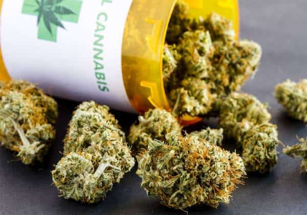 כחולות או אדומות? תושבים בחמש מדינות דווקא בחרו ב'ירוק'