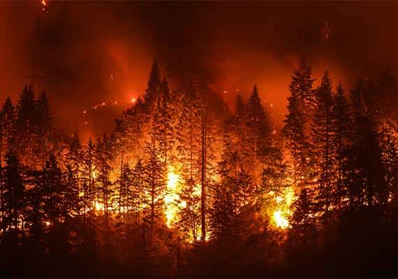 על טעויות משלמים, ובגדול: נער בן 15 נקנס ב-37 מיליון דולר בשל אחריות לשריפת ענק