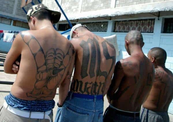 ארבע שנים לאחר הרצח המזעזע של נער בן 15: חבר בכנופיית MS-13 הוחזר לניו יורק ובדרך למאסר עולם