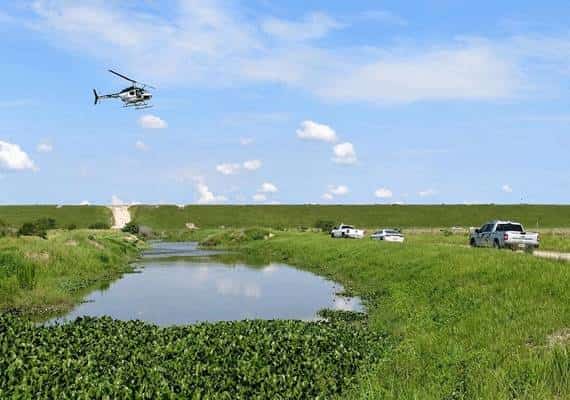 תושב פלורידה נטרף על ידי תנין: חקירה משטרתית חשפה שזו לא הייתה סיבת המוות