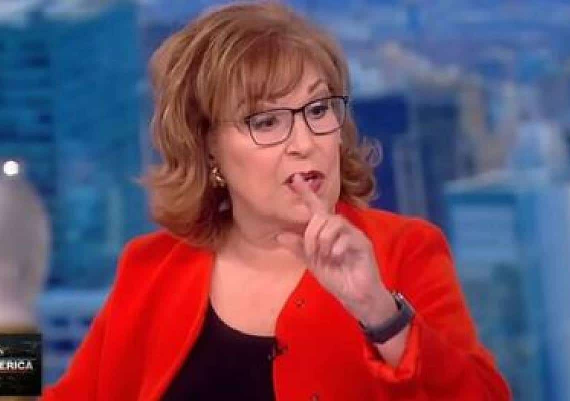 "כל אמריקה צוחקת עליה": מנחת טלוויזיה הפכה לבדיחה כשאמרה - "ששחורים ישיגו רובים במדינה הזו, חוקי הנשק ישתנו"