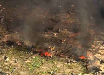 טרגדיה בטנסי: 18 נעדרים לאחר פיצוץ אדיר במפעל חומרי נפץ צבאיים