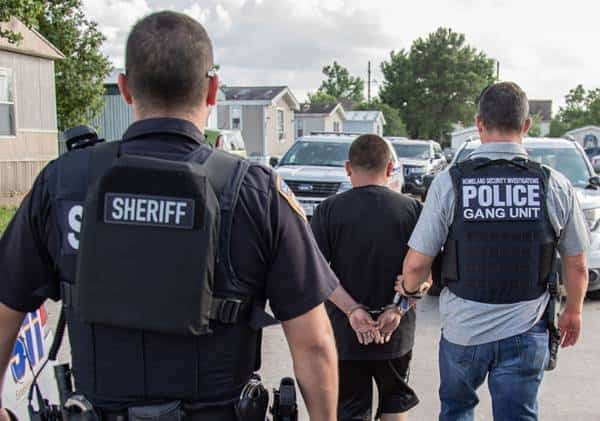 מבצע מעצרים רחב היקף: עשרות חברי כנופיית MS-13 נתפסו בפשיטות של כוחות ההגירה
