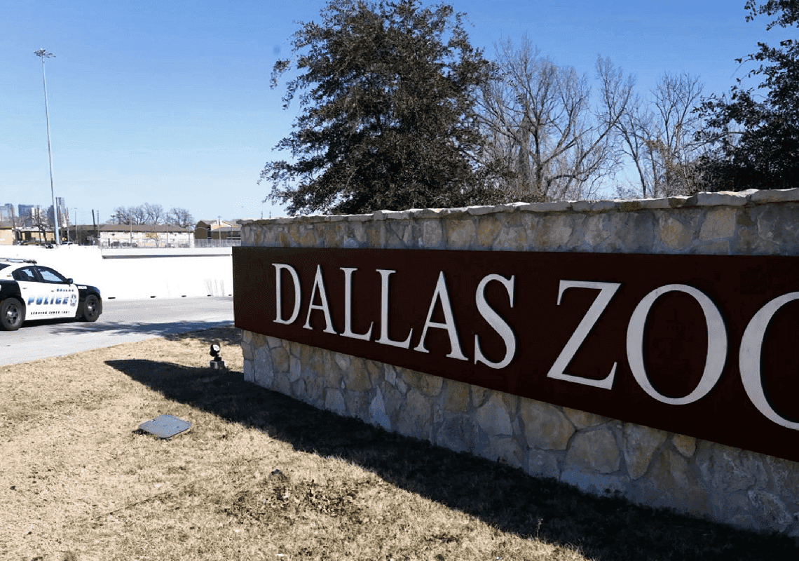 משהו "חריג" קורה בגן החיות בדאלאס: ההנהלה פנתה למשטרה לאחר מוות 'חשוד' של נשר 