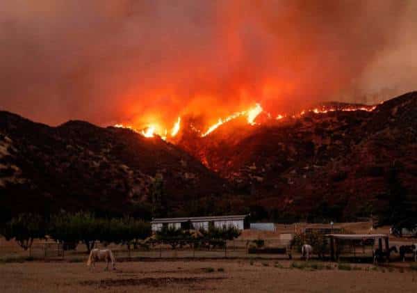 שריפה משתוללת בדרום קליפורניה: עשרות אלפי דונמים עלו בלהבות, אלפי בני אדם פונו מבתיהם