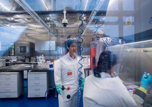 מעבדת ווהאן מודה: "היו אצלנו שלושה זנים חיים של קורונת עטלפים"