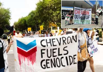 אנרכיזם בלב קליפורניה: המפה והשיטות של הארגון הפרו-פלסטיני שרודף את 'שברון'