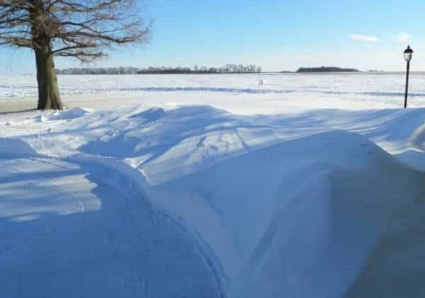 "לא היו שורדים לילה נוסף": 4 ילדים נעלמו במהלך סופת שלגים באלסקה