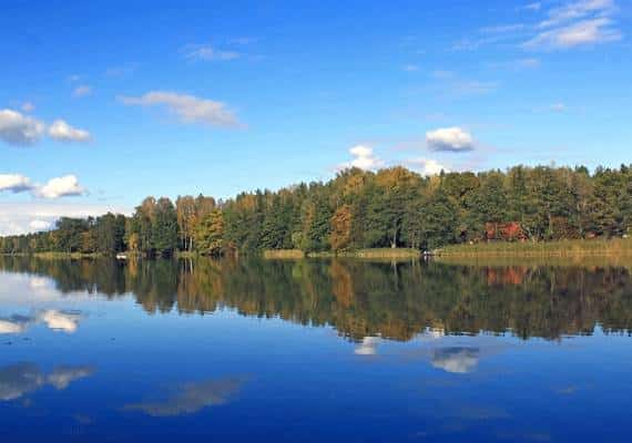ילדיו של הרב דוד מניו יורק טבעו באגם: הוא לא היסס ושילם בחייו