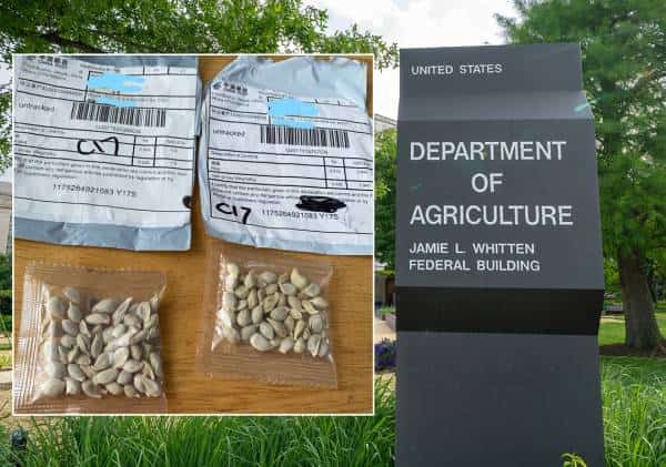 הונאה מקוונת או ניסיון חבלה? תושבים בעשרות מדינות מדווחים על קבלת "מעטפות מסתוריות מסין"