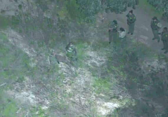 רגעי אימה בדרום קליפורניה: בן 3 הותקף על ידי פומה