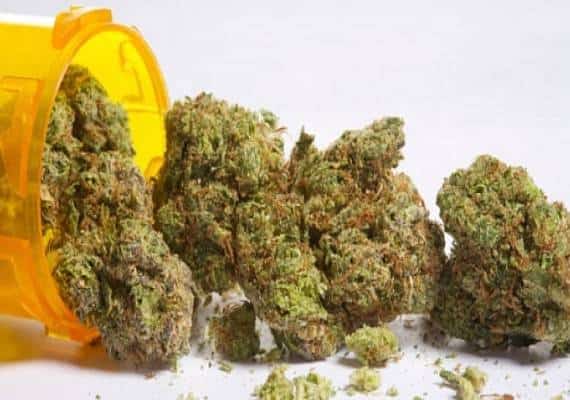 המריחואנה פתרה את ההתקפים - הרווחה הוציאה את הילד מהבית