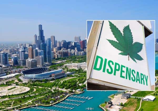 לקראת הלגליזציה באילינוי: נמחקו 11 אלף כתבי אישום בגין החזקת מריחואנה