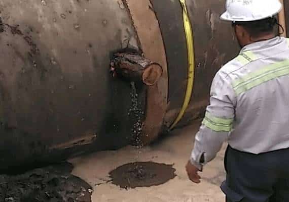 בזכות גזע עץ: הפיתרון היצירתי של הקבלן שהציל את פורט לודרדייל מהתייבשות