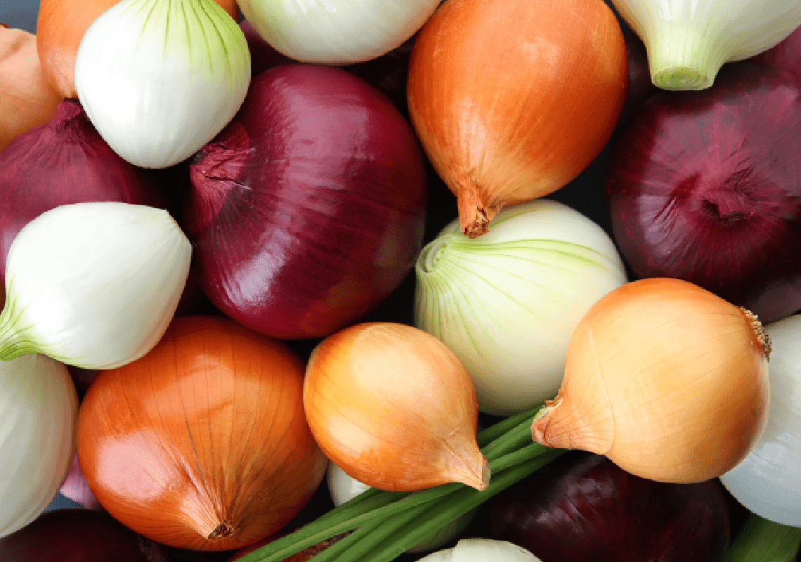 אזהרה: חיידק הסלמונלה התגלה בבצלים המיובאים ממקסיקו