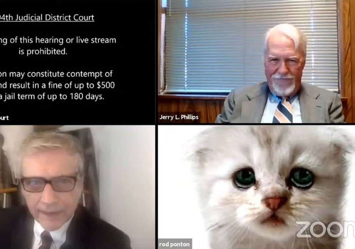 "אדוני השופט, אינני חתול": פילטר באפליקציית 'זום' שיבש דיון בבית המשפט