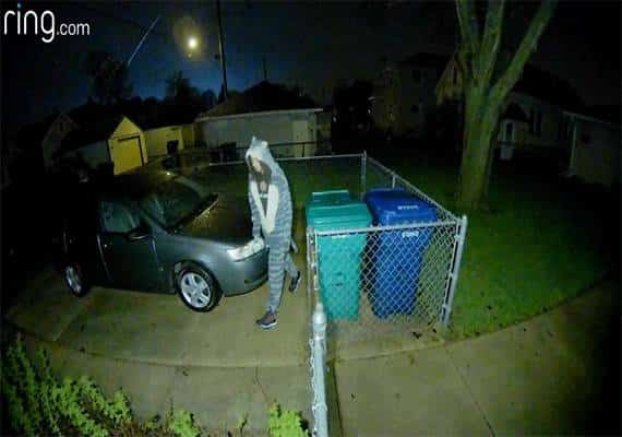 גם זאת שיטה: פרץ למכוניות בתחפושת חתול