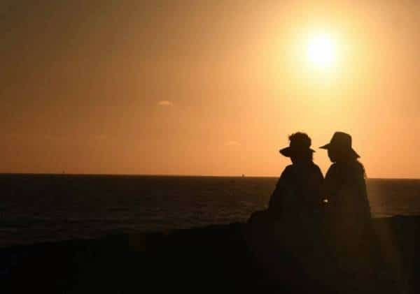 בעקבות שיאי הטמפרטורות הצפויים להישבר בקליפורניה: "מאות אלפי תושבים ינותקו מחשמל ביממה קרובה"