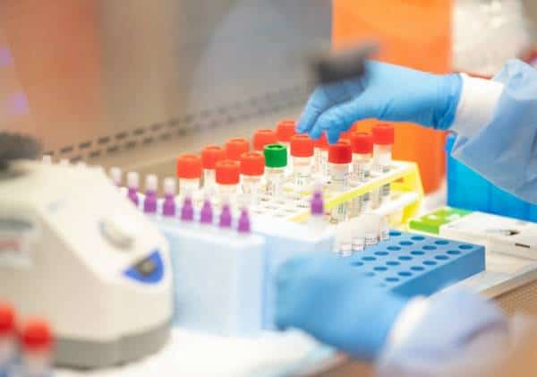 ראש קהילת המודיעין האמריקאית דוחה את הקונספירציות: הנגיף אינו מעשה יד האדם ולא עבר שינוי גנטי