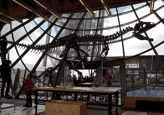 מטורף: סכום עתק שולם עבור שלד דינוזאור