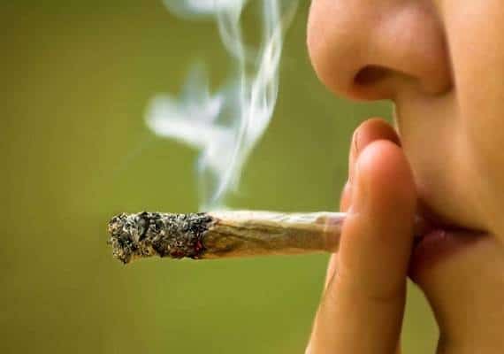 ראש לא טוב: עליה במספר תאונות הדרכים במדינות שהתירו צריכת מריחואנה