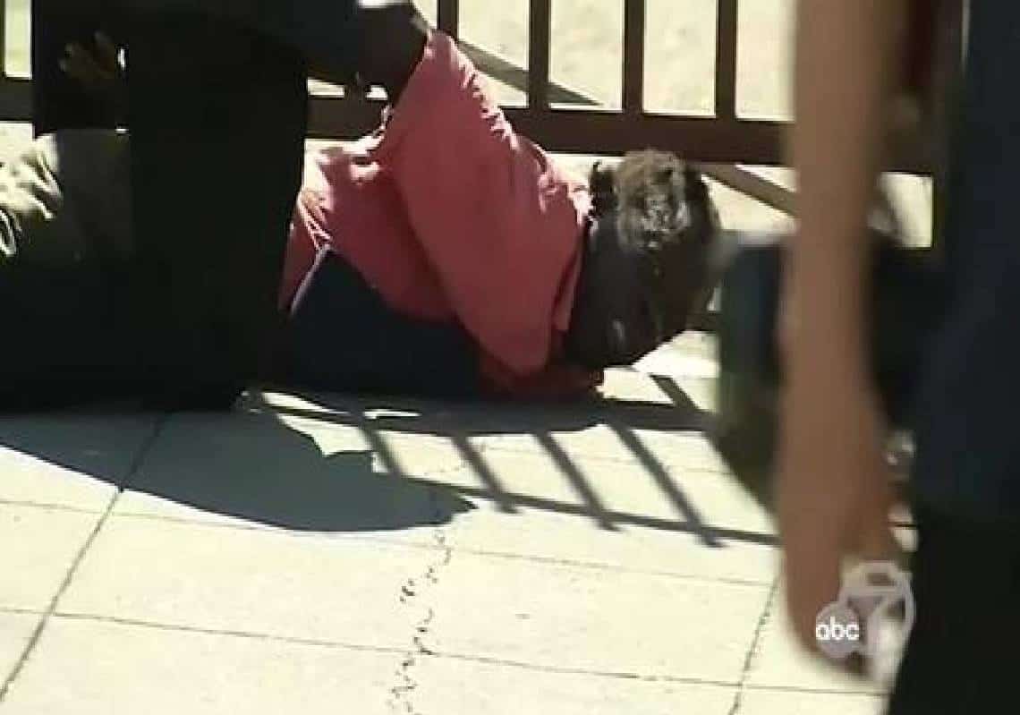 חסר-בית תקף את מושל קליפורניה במהלך ביקורו במסעדה