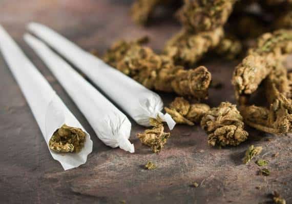 ניו יורק: תלמידי תיכון מעשנים מריחואנה בבית הספר; המנהל מתעלם: "זה יהיה חוקי"