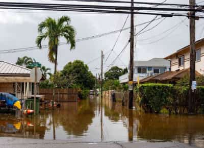 הגשם שלא נעצר: הוואי מתמודדת עם השיטפונות החמורים ביותר בעשרים שנה — וסכר בן 120 שנה עלול להתמוטט