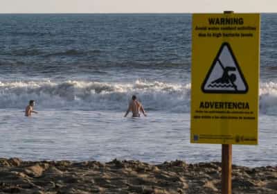 מאות החופים של קליפורניה תחת דירוג אחד: איפה הכי נקי - ואיפה עדיף לא להיכנס למים