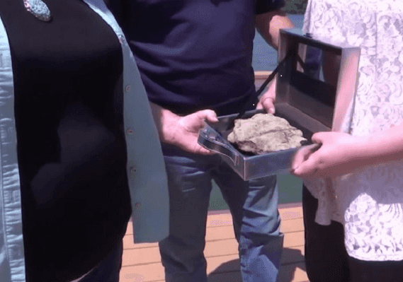 טנסי: בת 11 מצאה מאובן בן 475 מיליון שנה על חוף אגם