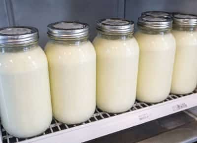 אזהרה קטלנית לנשים בהיריון: תינוק נולד מת בניו מקסיקו – והרשויות מצביעות על חלב גולמי ששתתה האם