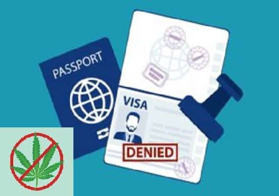 צורכים וויד חוקי? מעמד ההגירה שלכם בסכנה